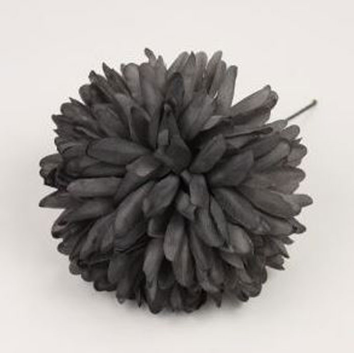 フランドル菊の花。黒.12cm